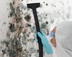 White Sulphur Springs, MT Mold Remediation Company